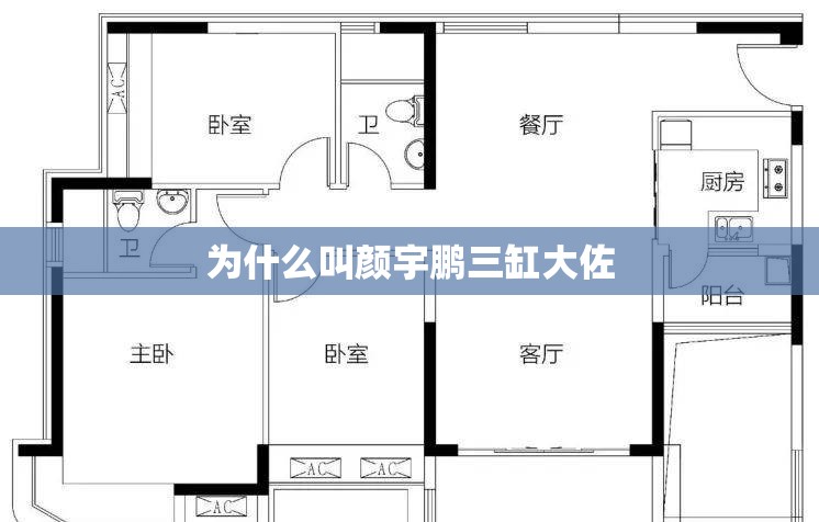 为什么叫颜宇鹏三缸大佐