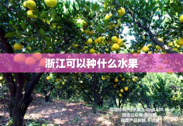 浙江可以种什么水果