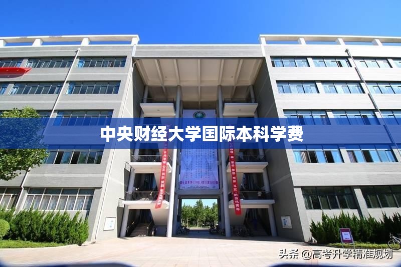 中央财经大学国际本科学费 中央财经大学国际本科学费