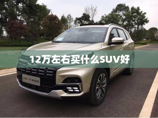 12万左右买什么SUV好