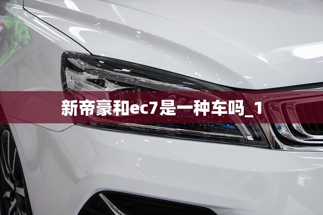 上海宝马展会2021,上海宝马展会
