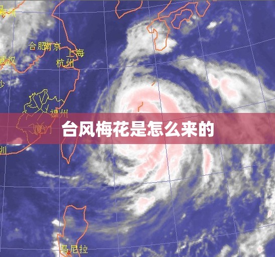台风梅花是怎么来的