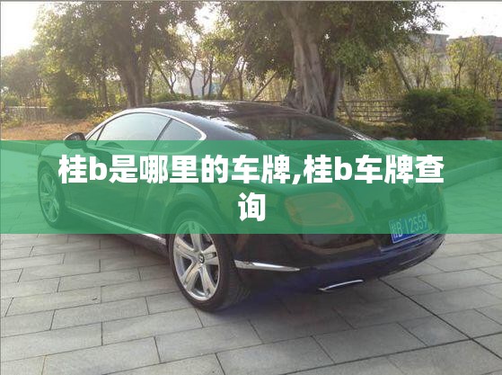 微滤固液分离机生产厂家