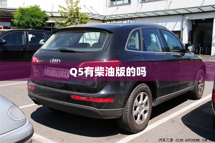 Q5有柴油版的吗 Q5有柴油版的吗