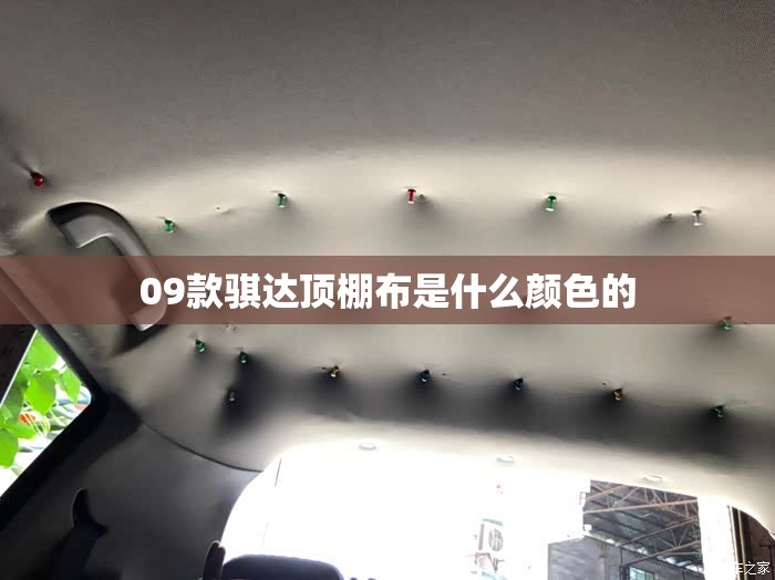 09款骐达顶棚布是什么颜色的 09款骐达顶棚布是什么颜色的