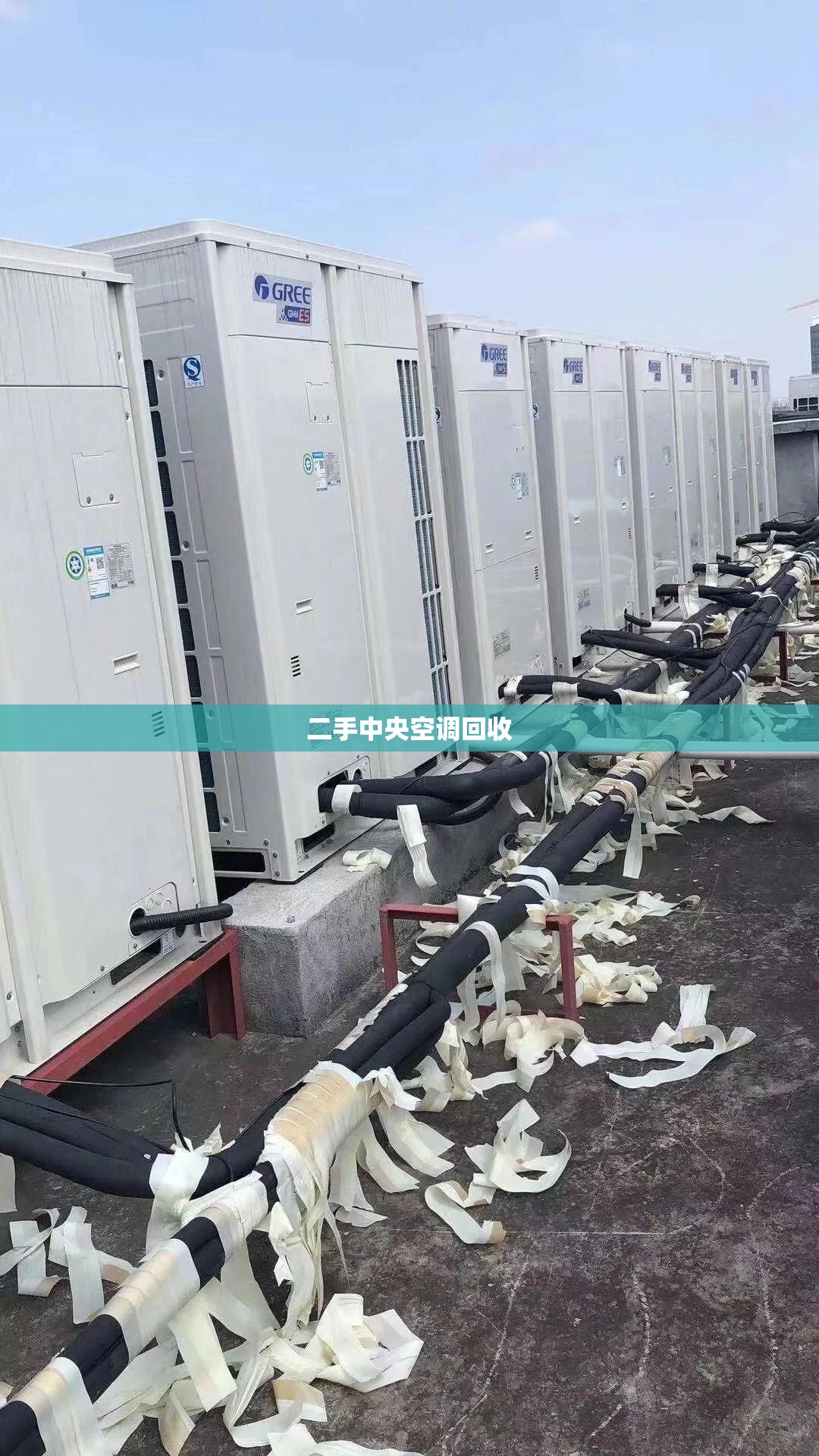 天气预报纯净版（天气预报纯净版官方网站）