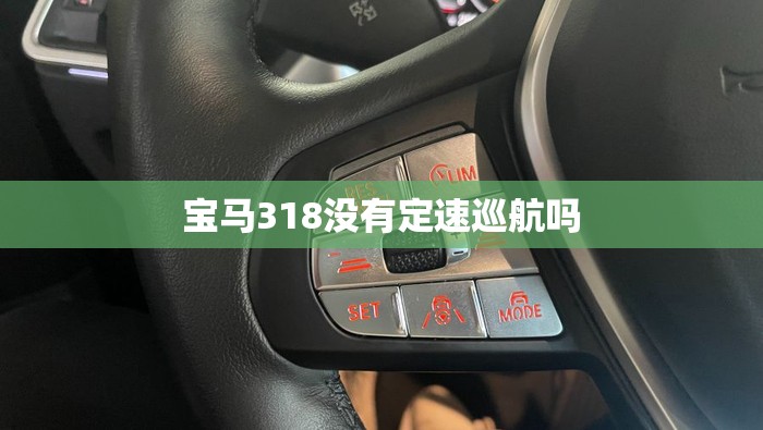宝马318没有定速巡航吗