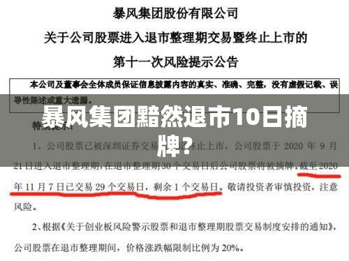 暴风集团黯然退市10日摘牌？