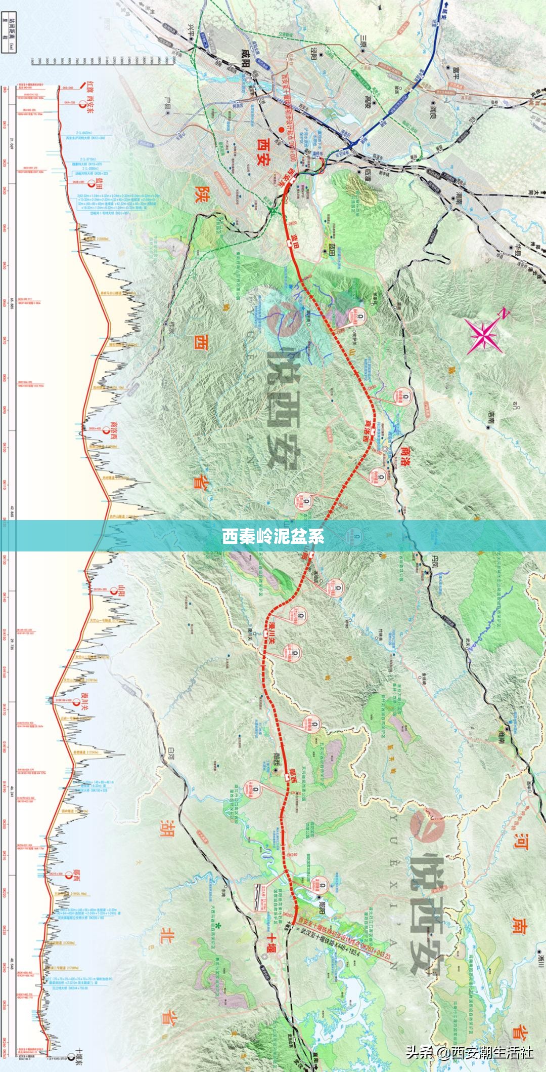 西秦岭泥盆系