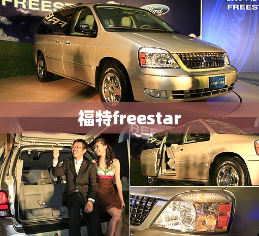 福特freestar 福特freestar