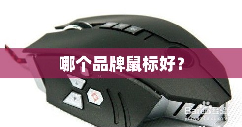 哪个品牌鼠标好？