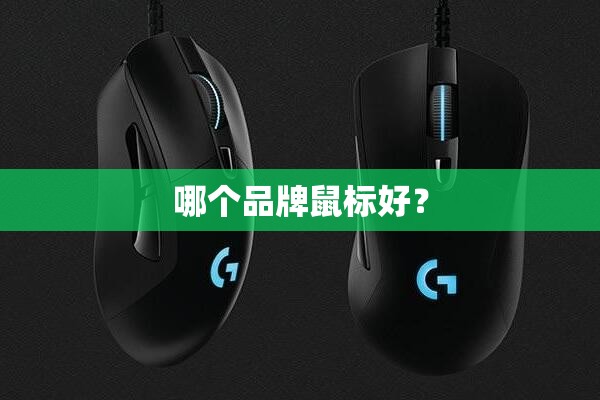哪个品牌鼠标好？