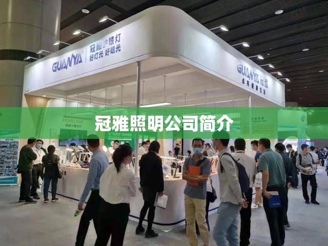 冠雅照明公司简介