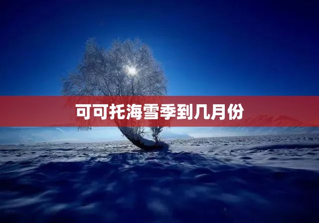 新河最新天气（新河最新天气预报）