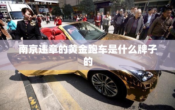 南京违章的黄金跑车是什么牌子的