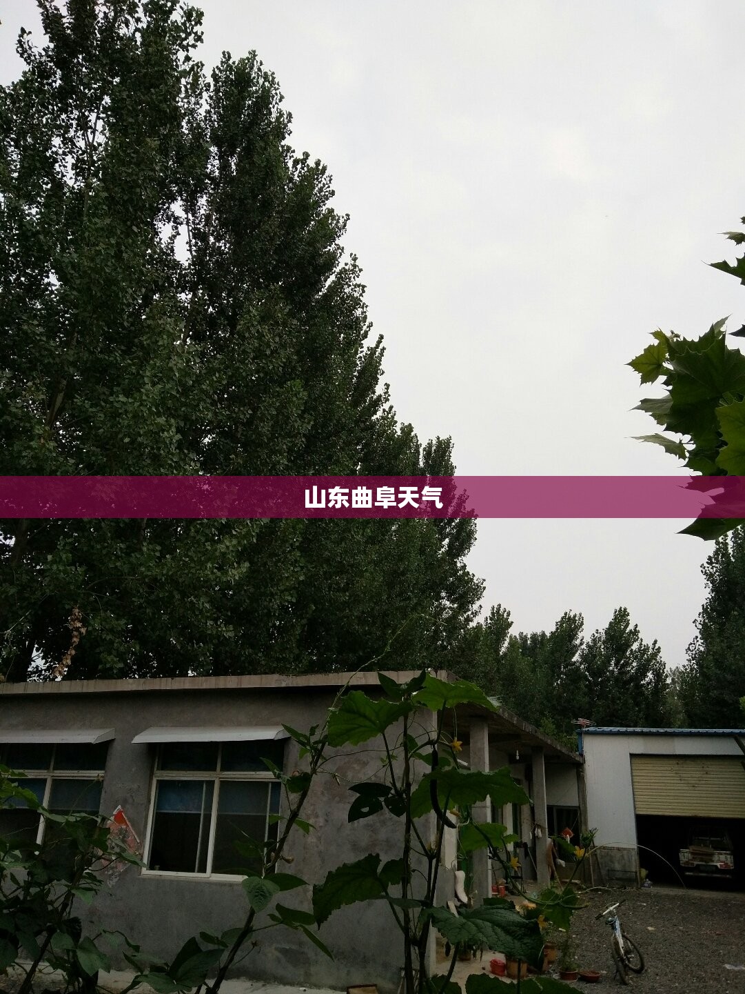 懂影投影仪售后服务电话,懂影投影仪售后服务电话查询地址