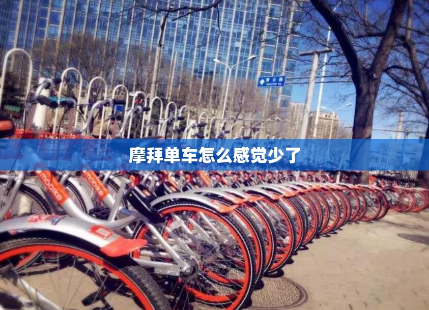 颗粒板图片（颗粒板图片大全）