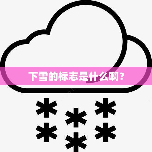 下雪的标志是什么啊？