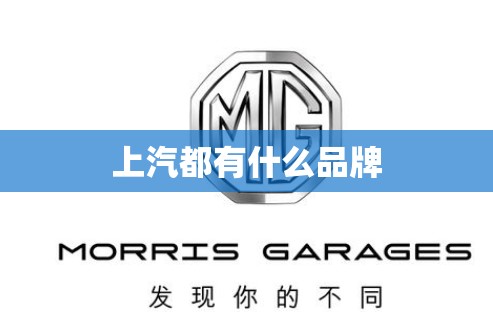 上汽都有什么品牌
