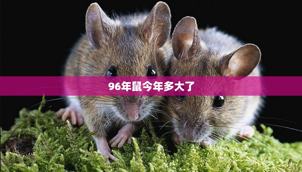 银华富裕今日净值/银华富裕基金净值查询今天最新净值最新股价