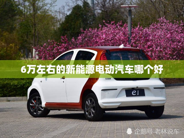 6万左右的新能源电动汽车哪个好