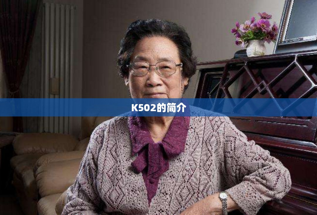 K502的简介