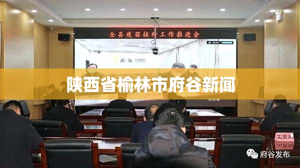 汽车新闻网最新消息