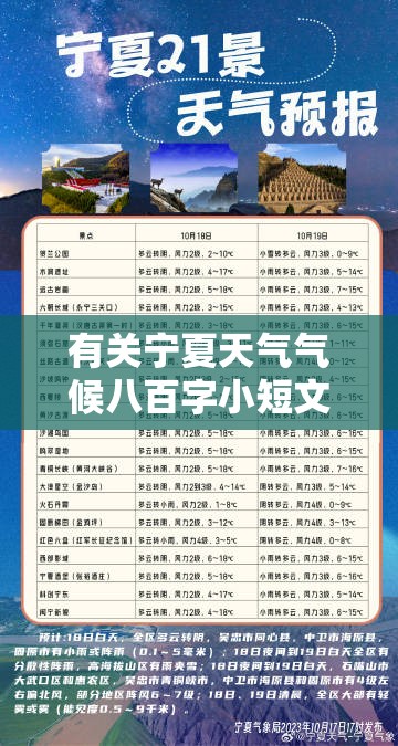 汽车新闻网最新消息