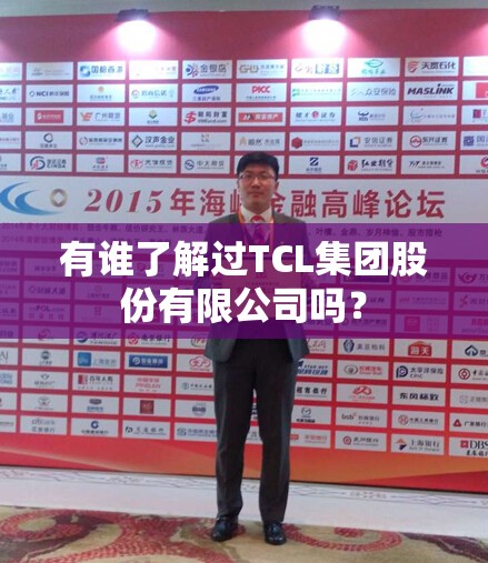 有谁了解过TCL集团股份有限公司吗？
