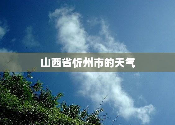 山西省忻州市的天气 山西省忻州市的天气