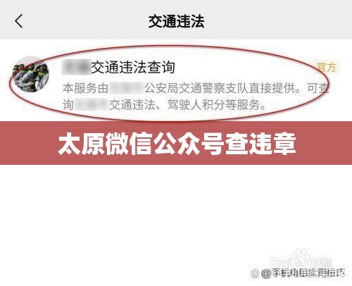 太原微信公众号查违章 太原微信公众号查违章