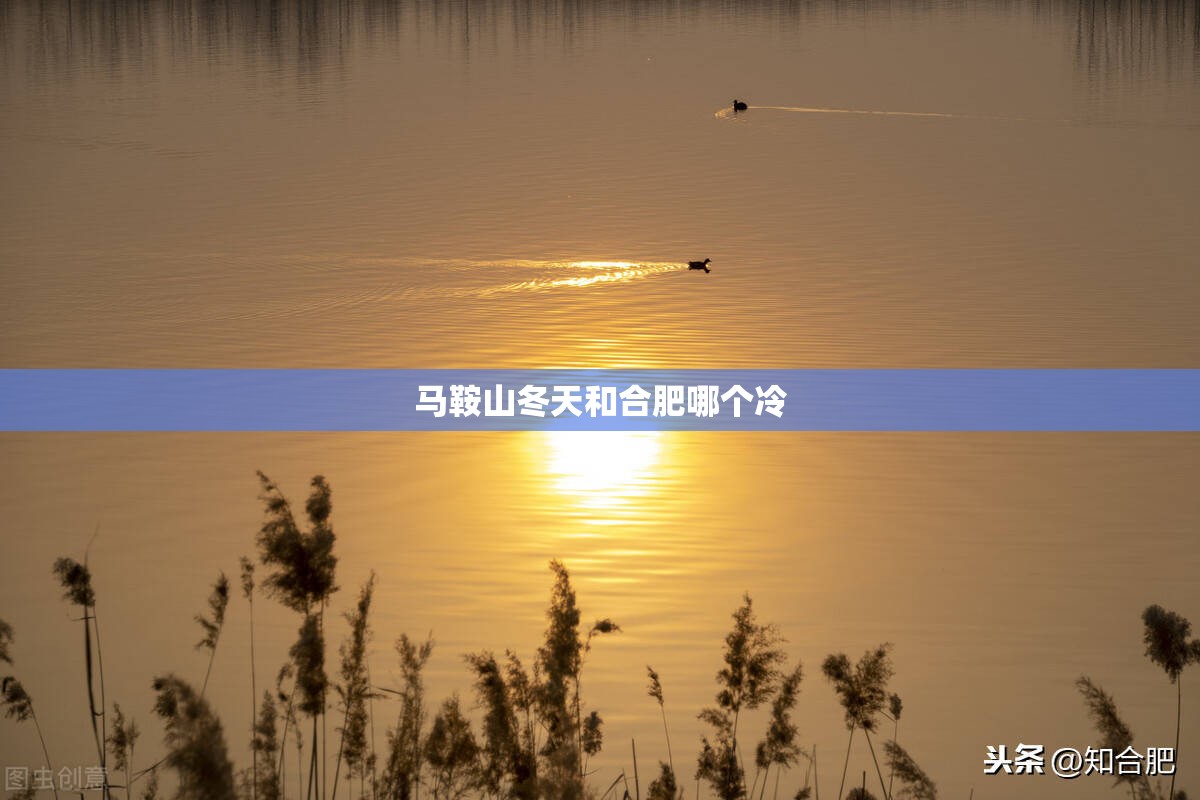 服务承诺书