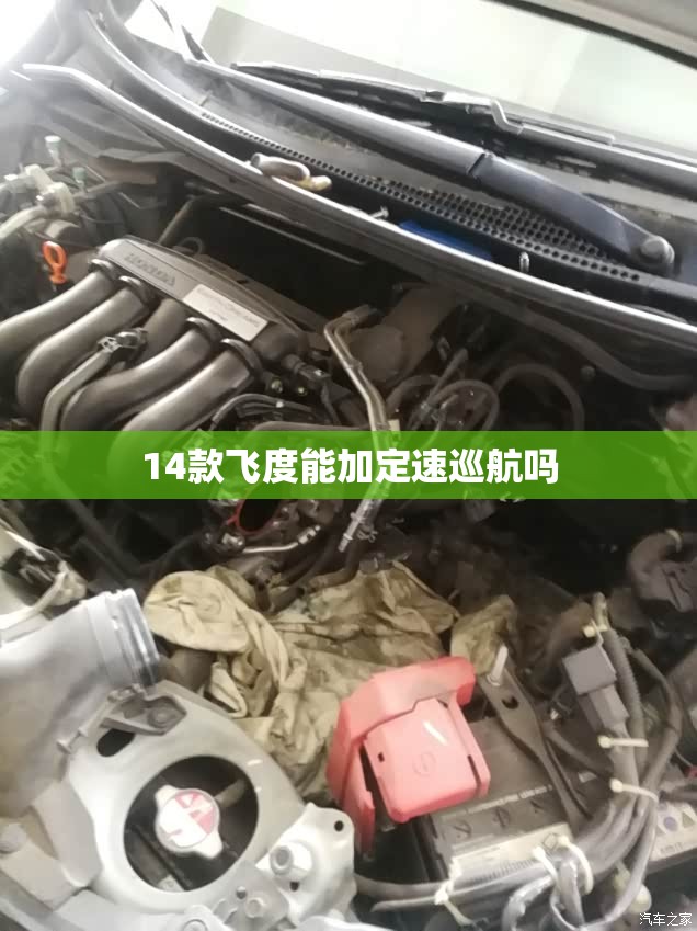 玩家辅助神器“同城字牌有挂吗”辅助透视教程