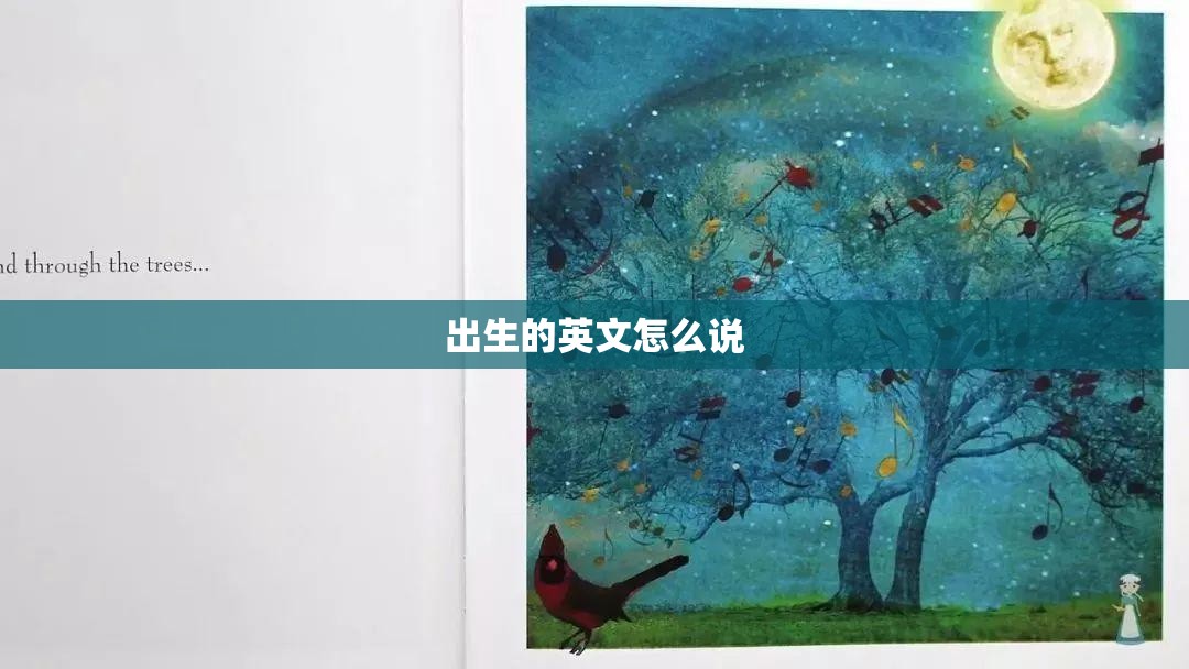 我想问一下鸡西铁西森林公园怎么样-