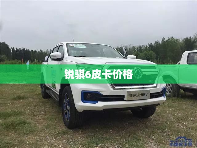 锐骐6皮卡价格