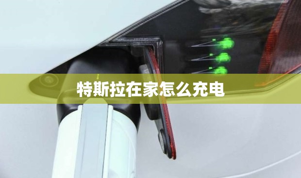 特斯拉在家怎么充电