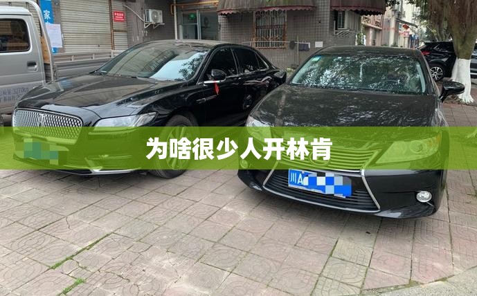 辅助最新信息“大头大菠萝可以开挂吗”详细辅助教程分享