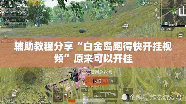 辅助教程分享“白金岛跑得快开挂视频	”原来可以开挂