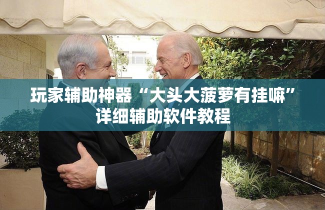 玩家辅助神器“大头大菠萝有挂嘛	”详细辅助软件教程