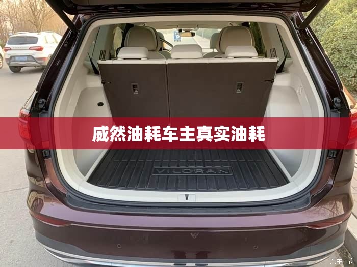 威然油耗车主真实油耗