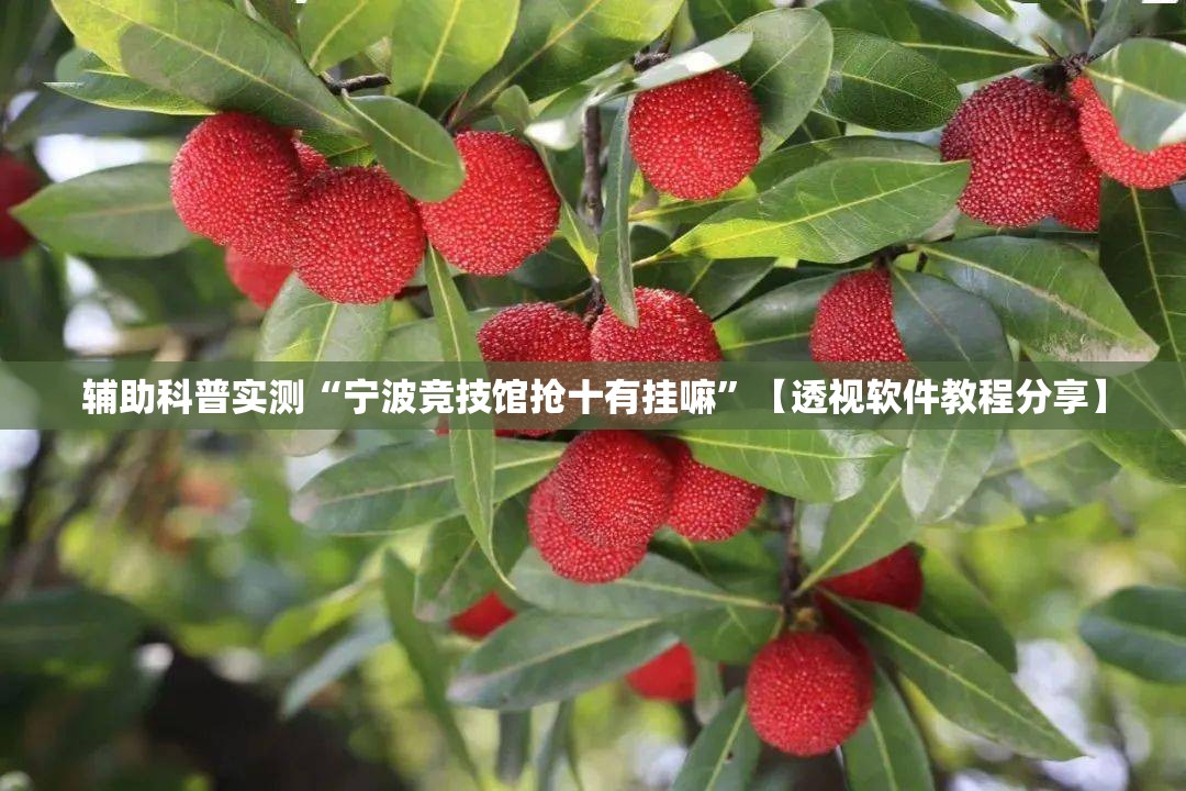 辅助科普实测“宁波竞技馆抢十有挂嘛”【透视软件教程分享】