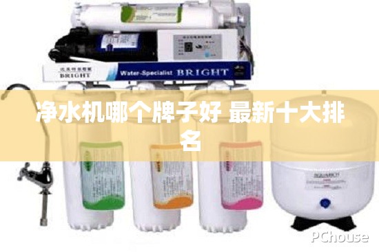 净水机哪个牌子好 最新十大排名