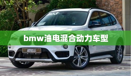 bmw油电混合动力车型