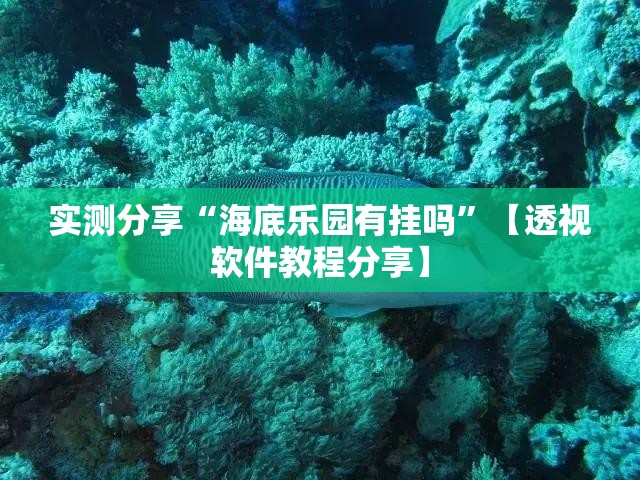 玩家辅助神器:“星远壹号有没有挂靠公司!辅助神器插件下载