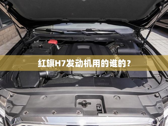 万能开挂辅助“欢乐龙城9辅助”详细透视教程