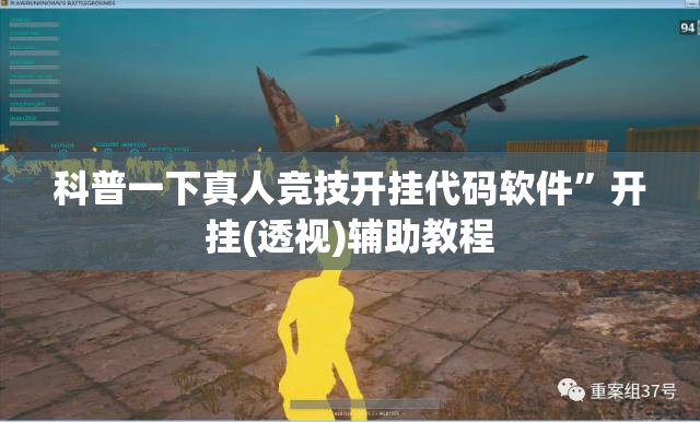 科普一下真人竞技开挂代码软件”开挂(透视)辅助教程