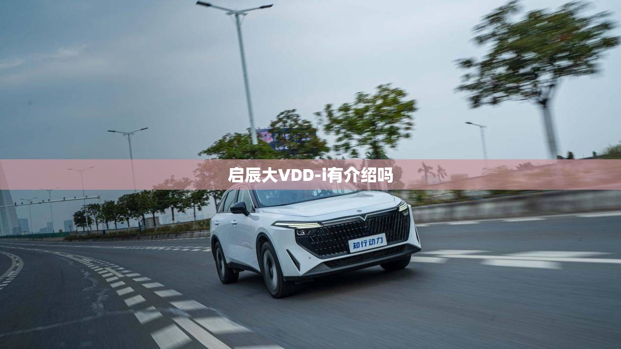 【贵州铜仁有哪些旅游景点,贵州铜仁有哪些旅游景点免费】
