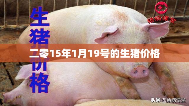 二零15年1月19号的生猪价格 二零15年1月19号的生猪价格