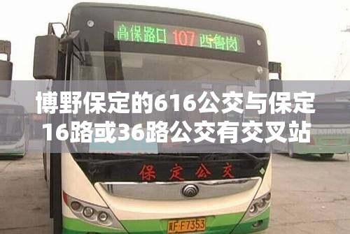 博野保定的616公交与保定16路或36路公交有交叉站点吗