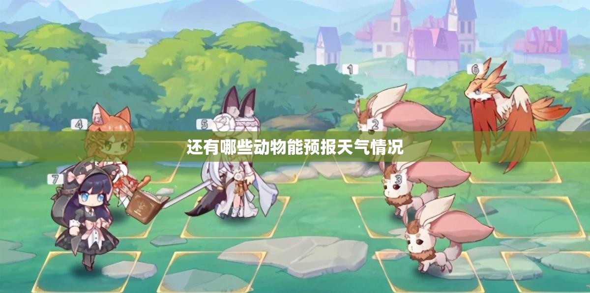【移动售货车图片与费用/大型移动售货车要多少钱一台】